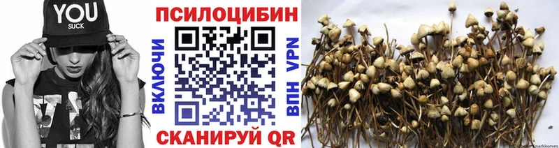 ссылка на мегу ССЫЛКА  Белая Холуница  Псилоцибиновые грибы Psilocybe  что такое наркотик 
